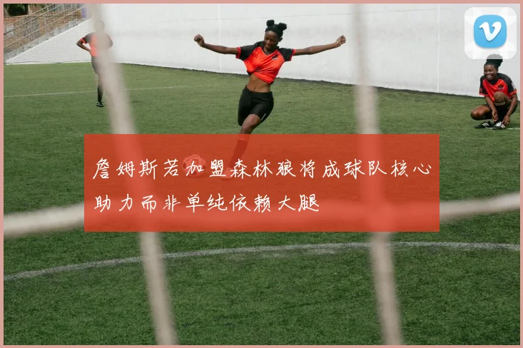 詹姆斯若加盟森林狼将成球队核心助力而非单纯依赖大腿
