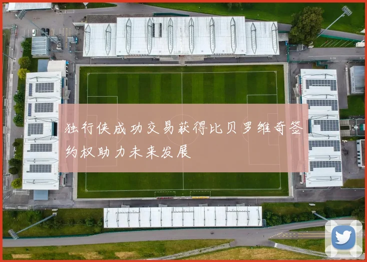 独行侠成功交易获得比贝罗维奇签约权助力未来发展