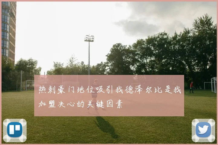 热刺豪门地位吸引我德泽尔比是我加盟决心的关键因素